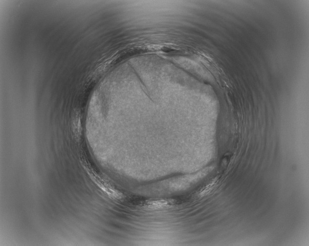 X0000053120405200508081257