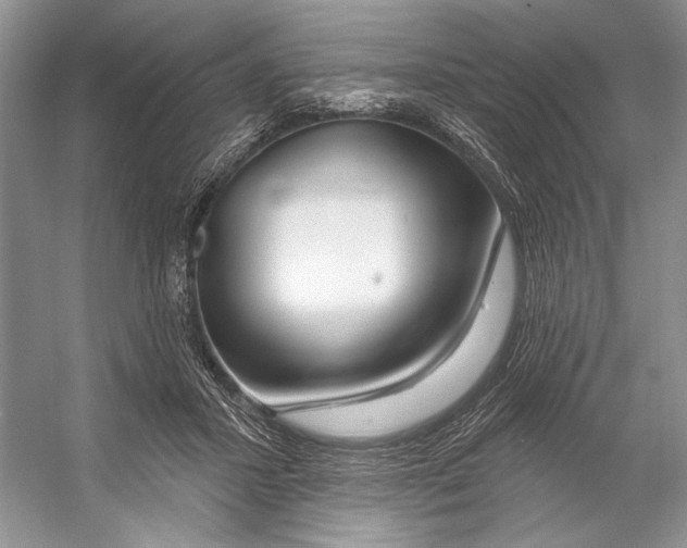 X0000053120407200508081257