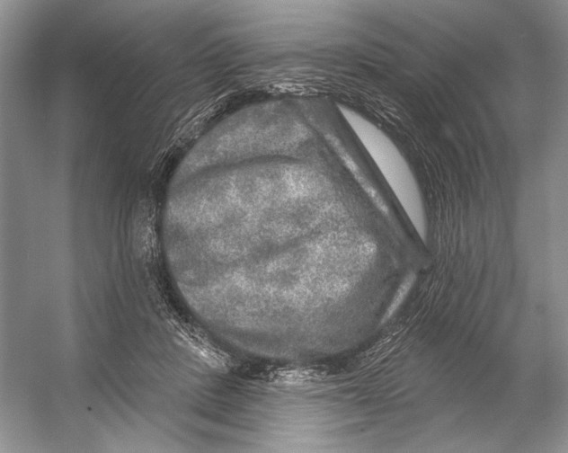 X0000053120408200508081257