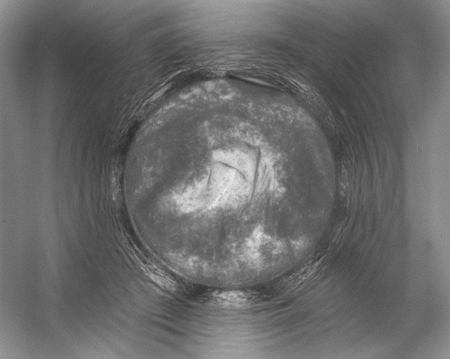 X0000053120409200508081257