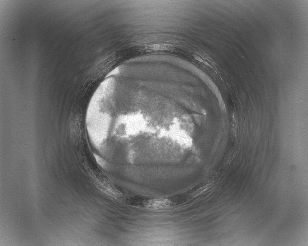 X0000053120410200508081257