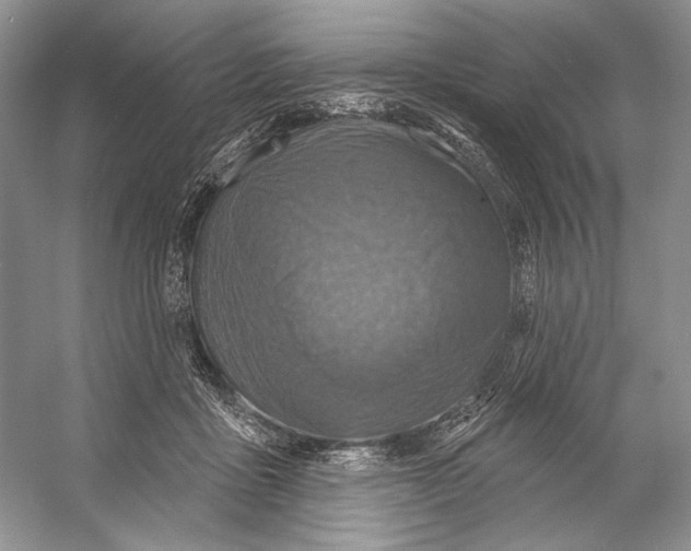 X0000053120411200508081257