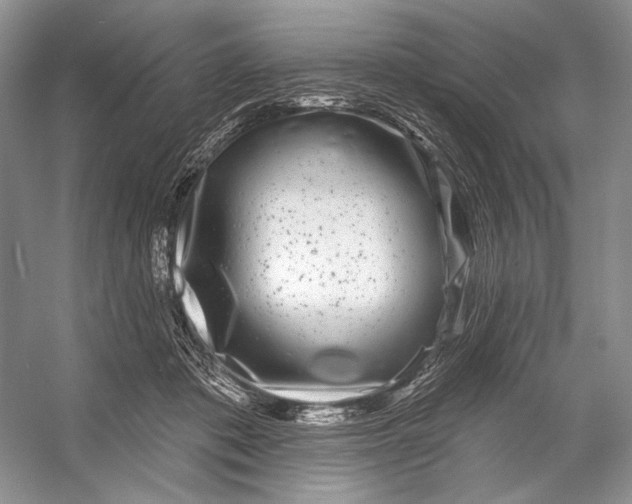 X0000053120413200508081257