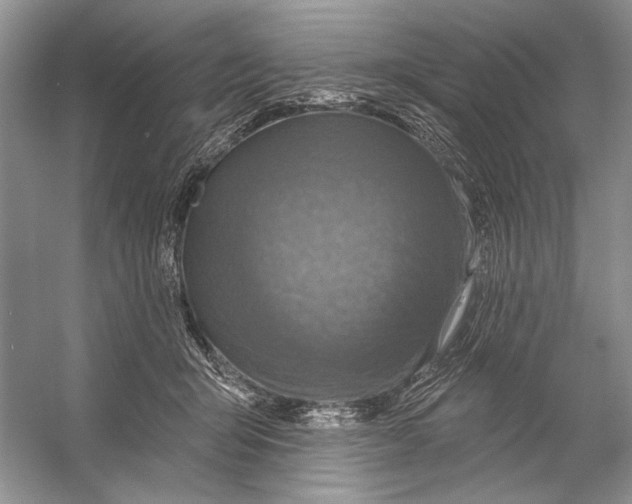 X0000053120415200508081257