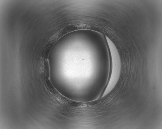 X0000053120416200508081257