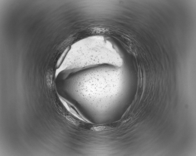 X0000053120417200508081257