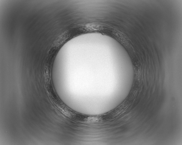 X0000053120418200508081257