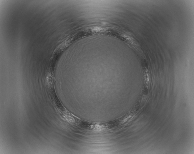 X0000053120419200508081257