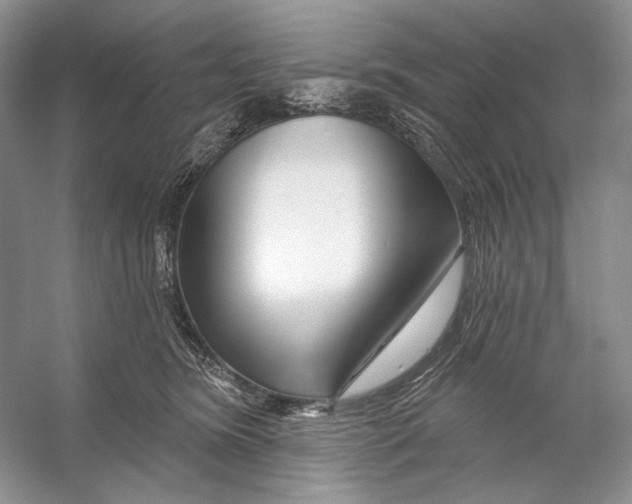 X0000053120420200508081257