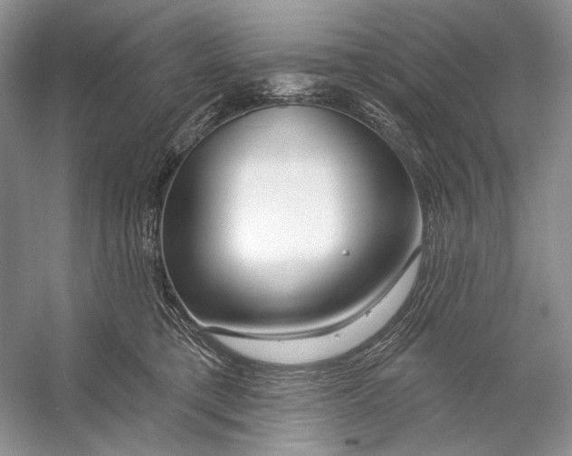 X0000053120421200508081257