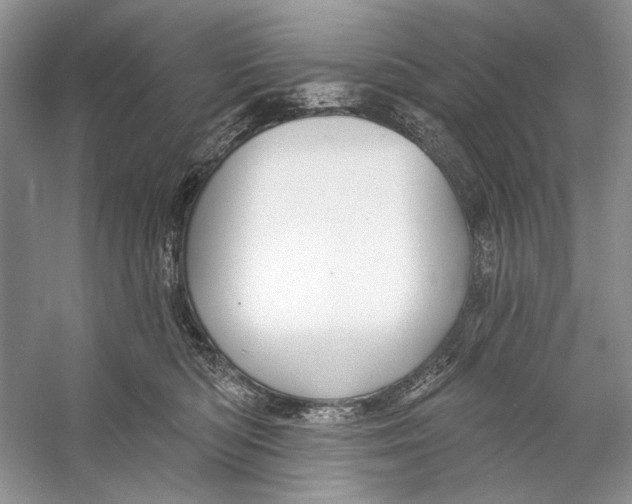 X0000053120422200508081257