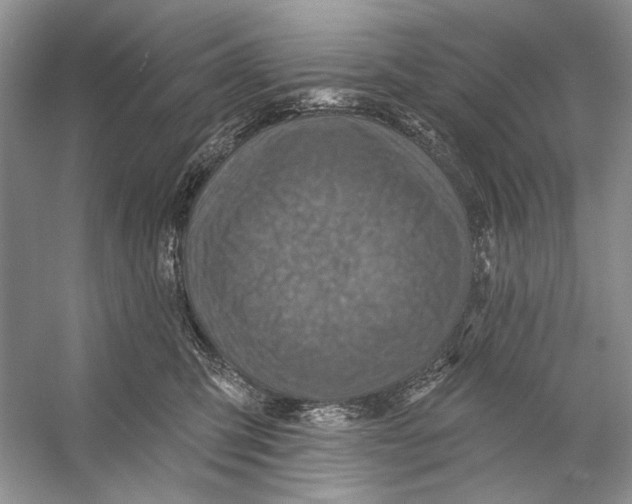 X0000053120423200508081257