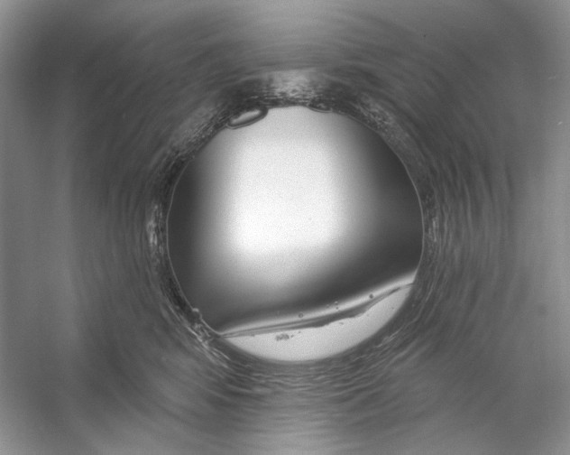 X0000053120424200508081256