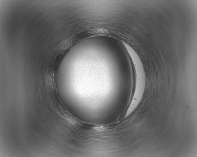 X0000053120425200508081256