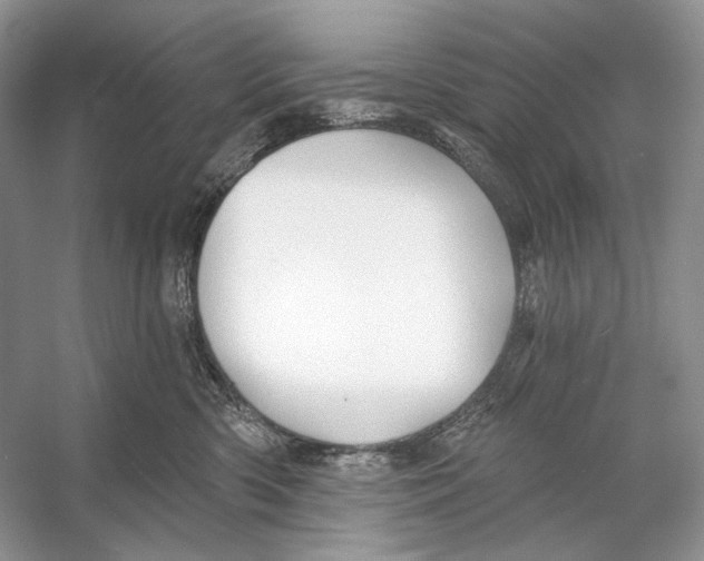 X0000053120426200508081256