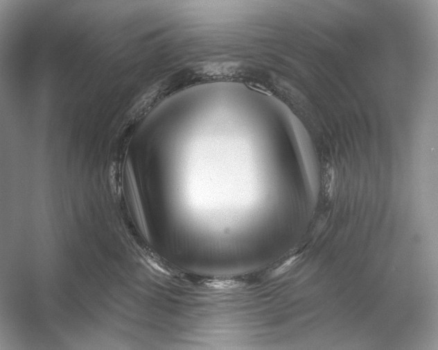 X0000053120428200508081256