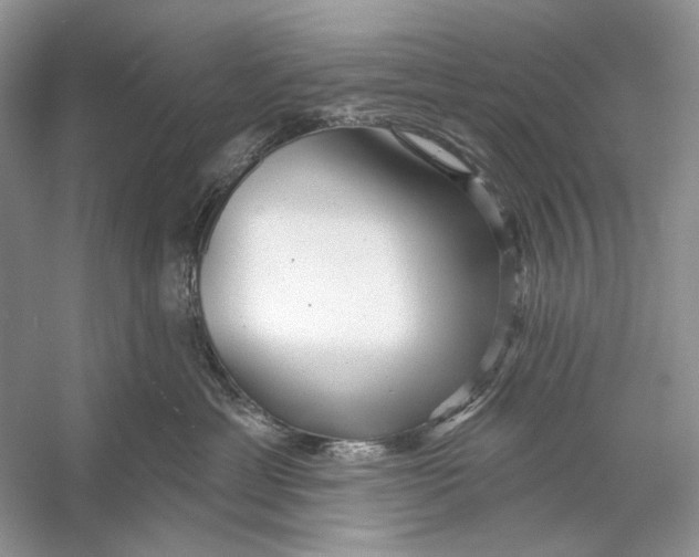 X0000053120429200508081256