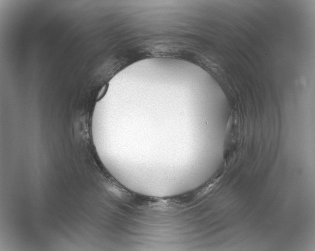 X0000053120430200508081256