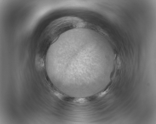 X0000053120431200508081256