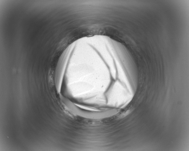 X0000053120432200508081256