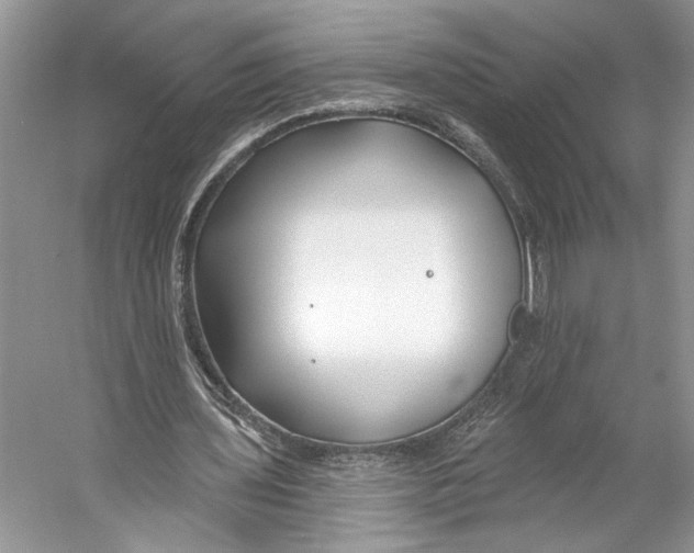 X0000053120435200508081256