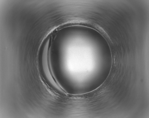 X0000053120436200508081256