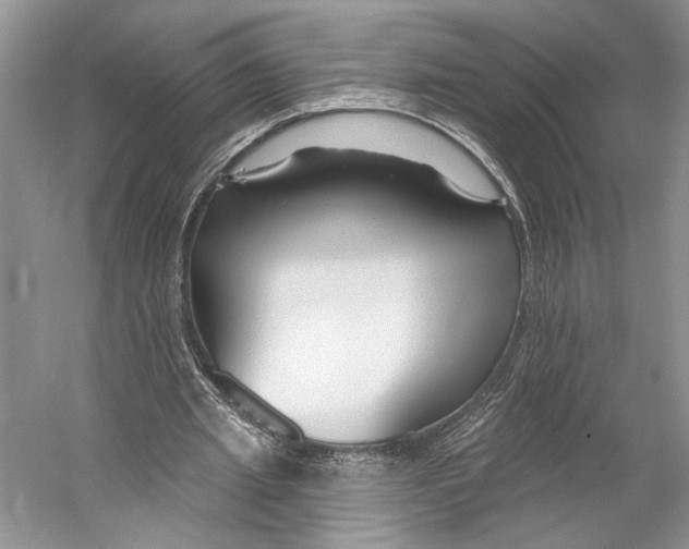 X0000053120437200508081256