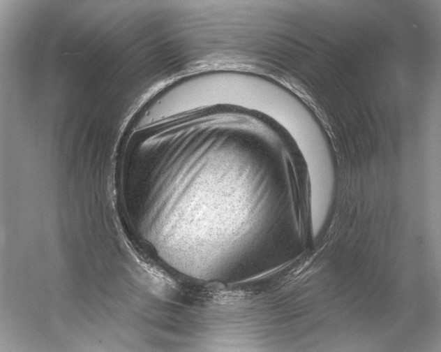 X0000053120438200508081256