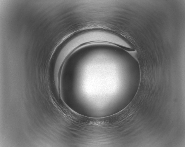 X0000053120440200508081256