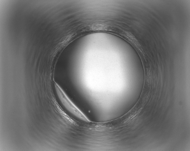 X0000053120441200508081256