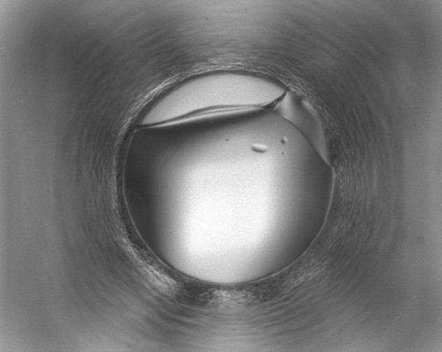 X0000053120442200508081256