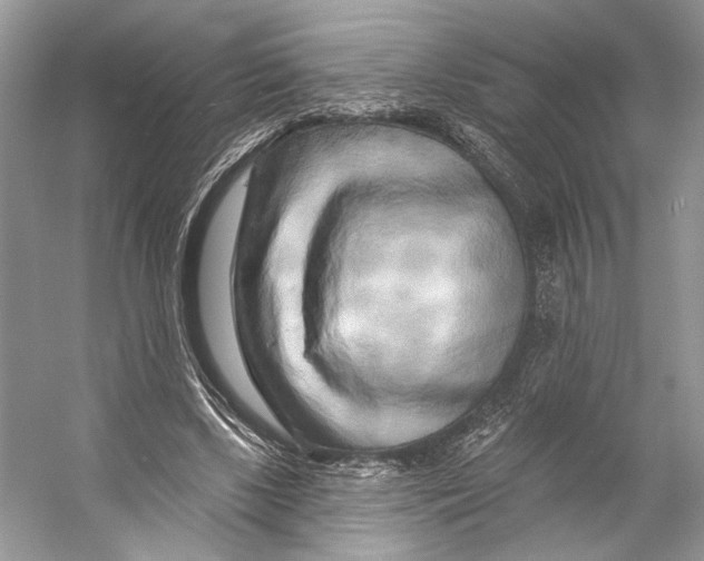 X0000053120443200508081256