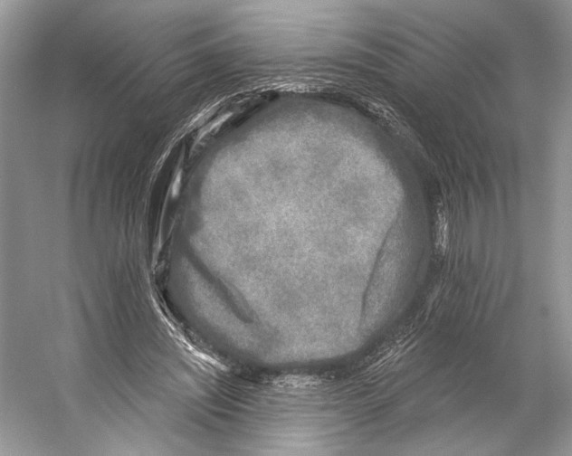 X0000053120444200508081256