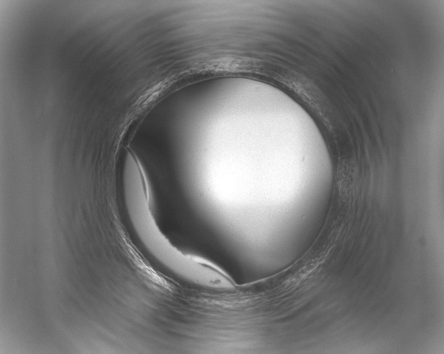 X0000053120445200508081256