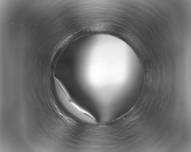 X0000053120446200508081256