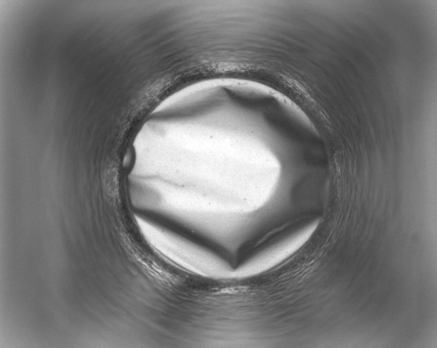 X0000053120447200508081256