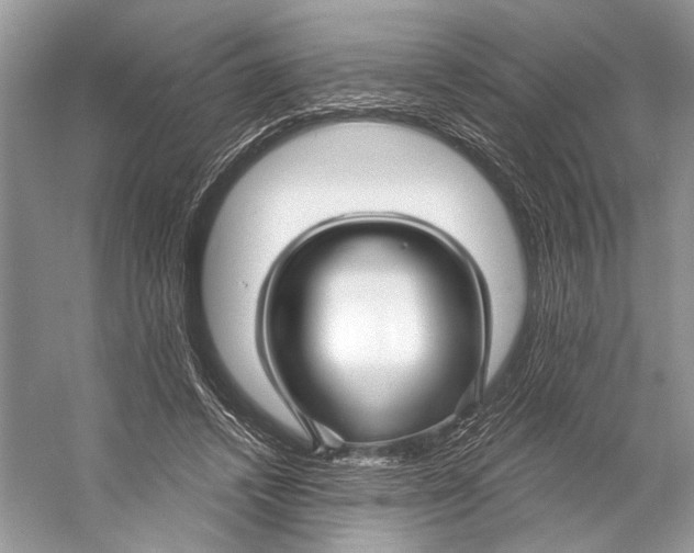 X0000053120448200508081256