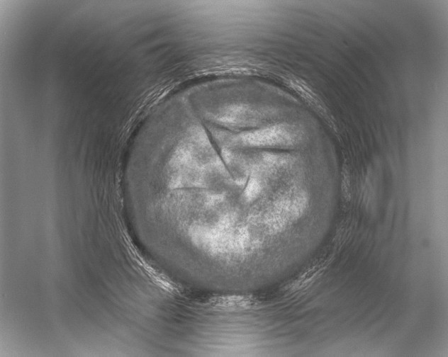 X0000053120449200508081256