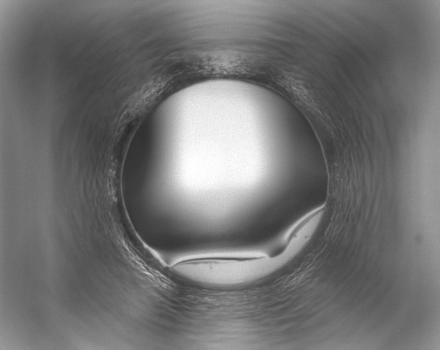 X0000053120450200508081256