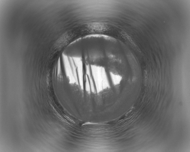 X0000053120451200508081256