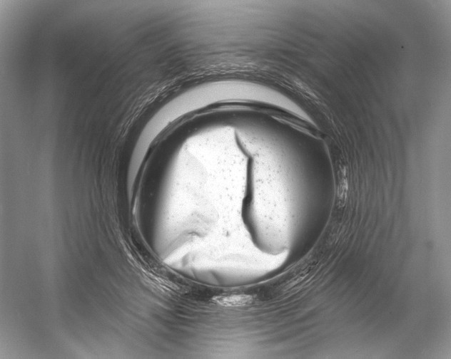 X0000053120452200508081256