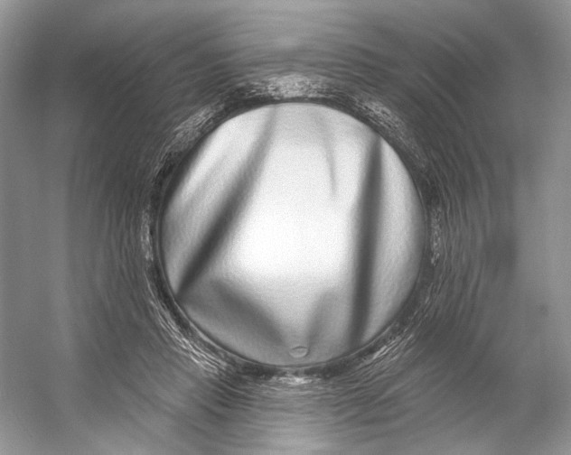 X0000053120453200508081256