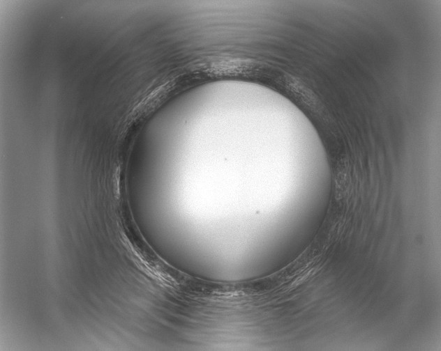 X0000053120454200508081256