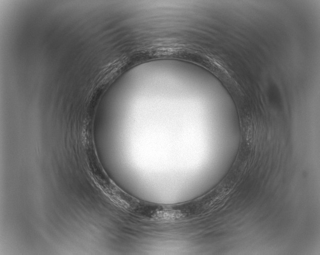 X0000053120455200508081256