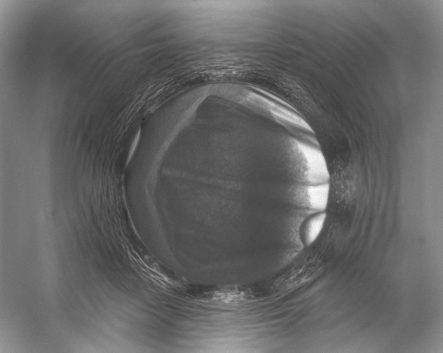 X0000053120458200508081256