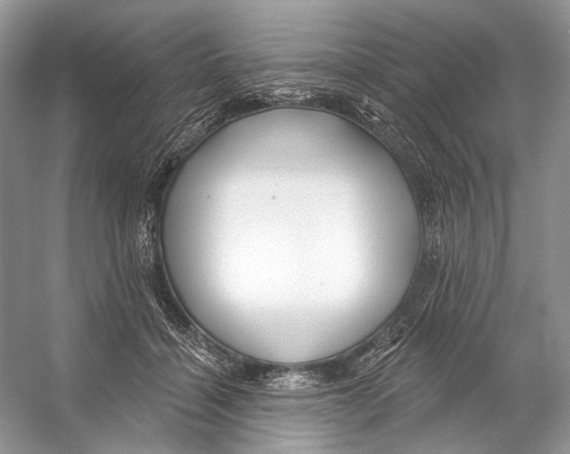 X0000053120460200508081256