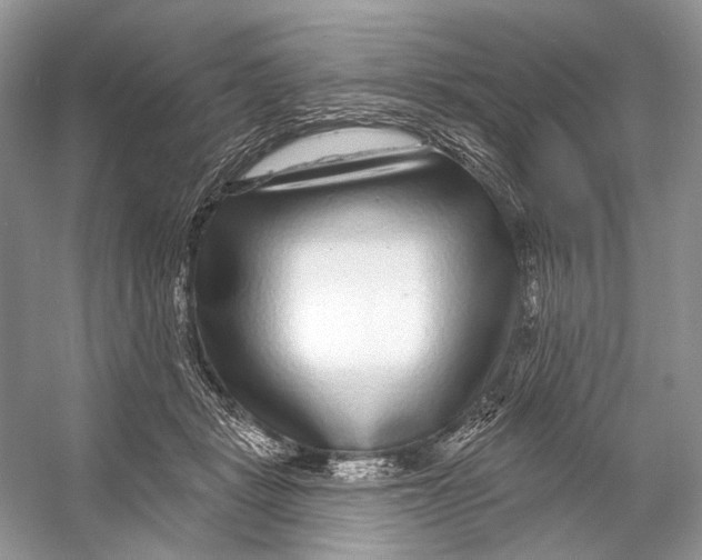 X0000053120461200508081256