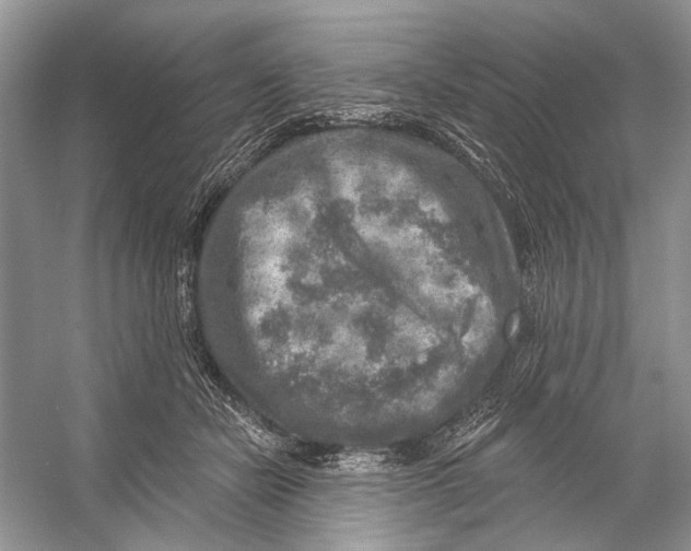 X0000053120462200508081256