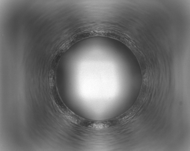 X0000053120464200508081256