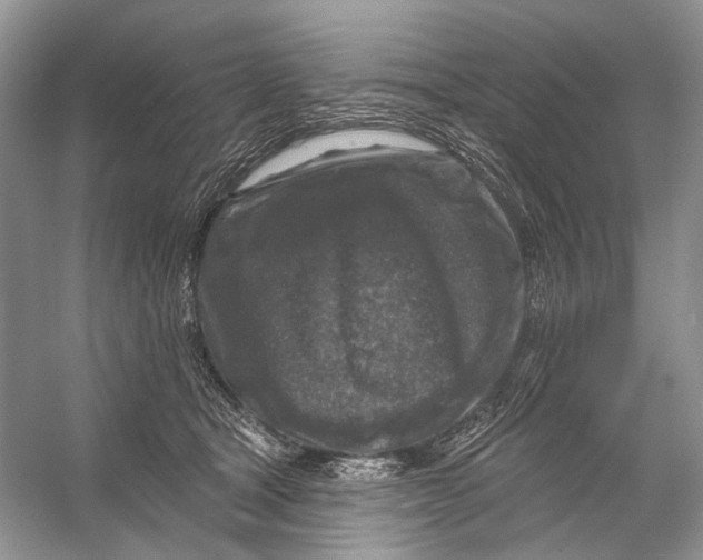 X0000053120465200508081256